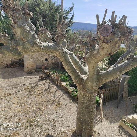 Entre Ble Et Lavande Daire Bonnieux Dış mekan fotoğraf
