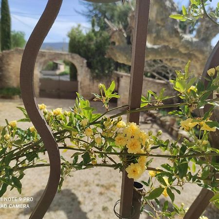 Entre Ble Et Lavande Daire Bonnieux Dış mekan fotoğraf