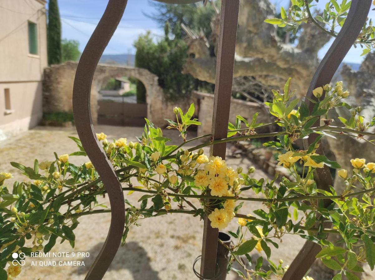 Entre Ble Et Lavande Daire Bonnieux Dış mekan fotoğraf