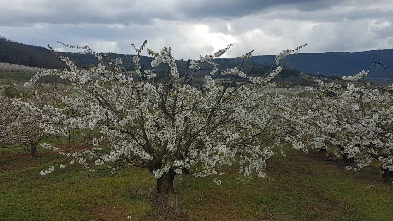 Entre Ble Et Lavande Daire Bonnieux Dış mekan fotoğraf