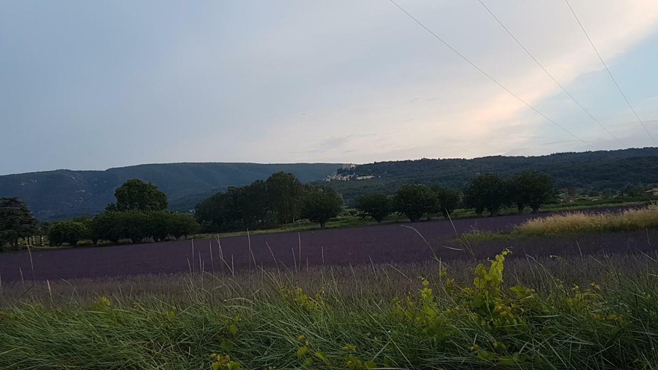 Entre Ble Et Lavande Daire Bonnieux Dış mekan fotoğraf