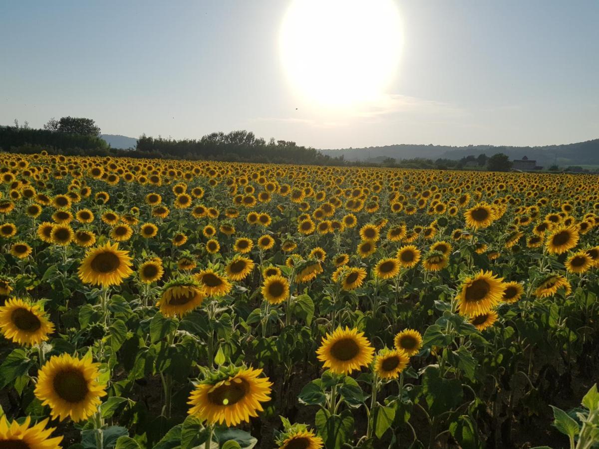 Entre Ble Et Lavande Daire Bonnieux Dış mekan fotoğraf